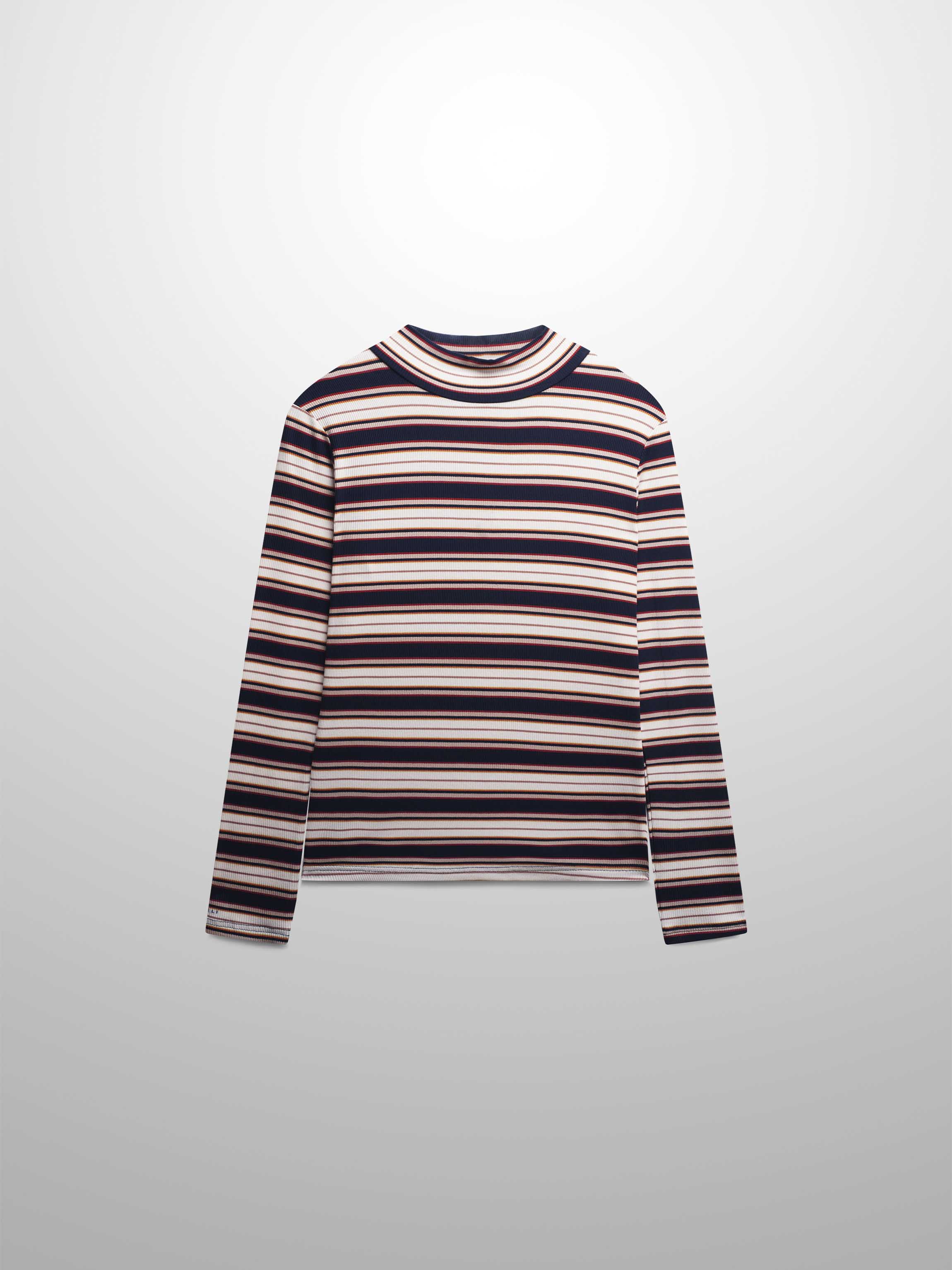 Striped Ribbed Turtleneck-Navy/Camel-1